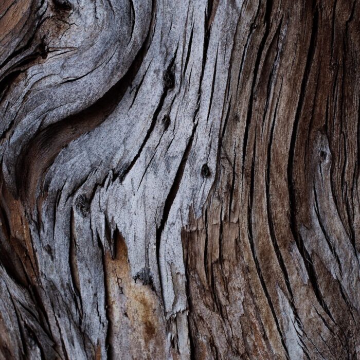 Diffusori a bastoncino  Corteccia - immagine 2