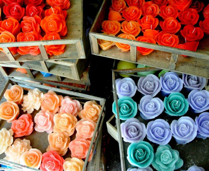 Rosa - immagine 2