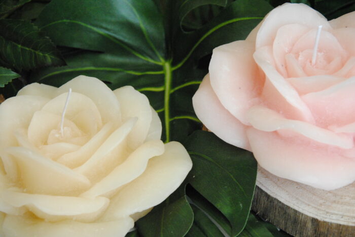Rosa Dia 17 - immagine 2